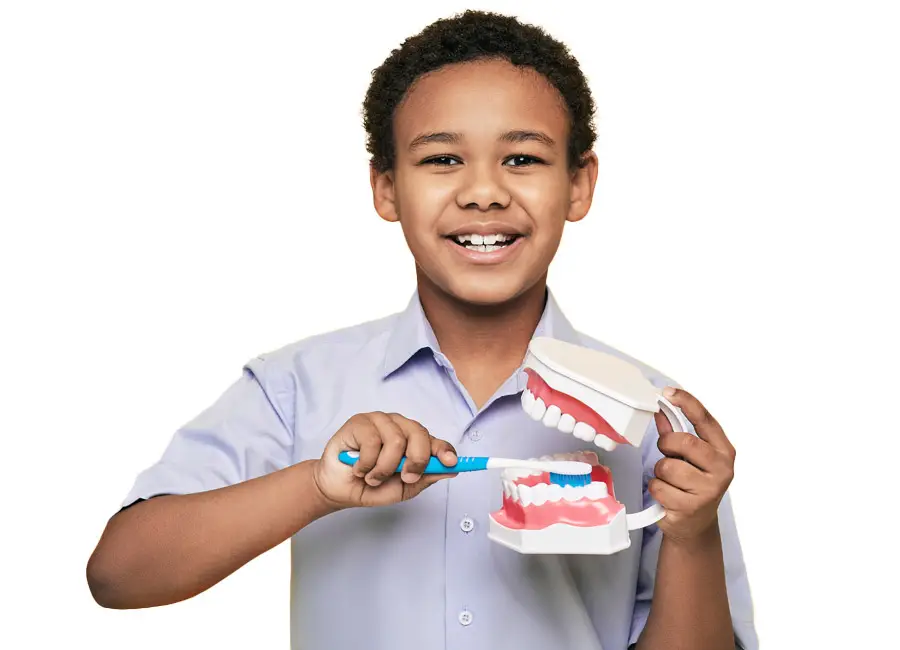 Chesapeake Smiles Dental Brushing Your Teeth