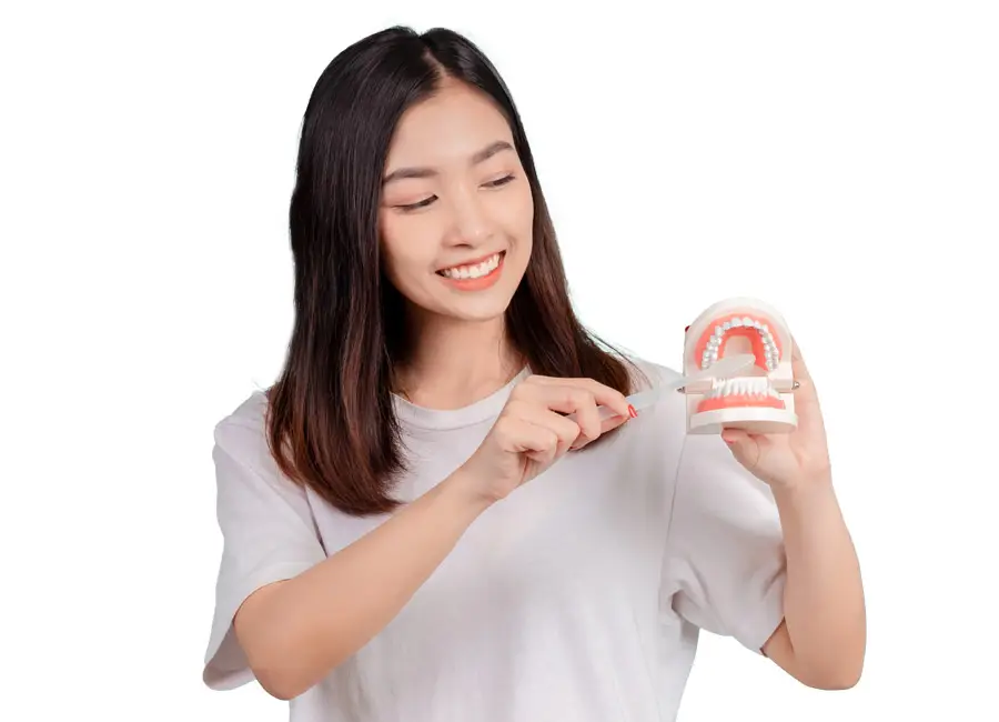 Chesapeake Smiles Dental Oral Hygiene